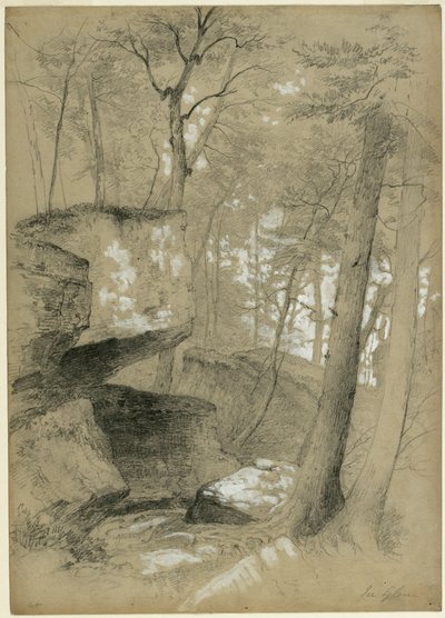 Study Rocks and Trees in Ice Glen, Stockbridge, Massachusetts by Asher Brown Durand